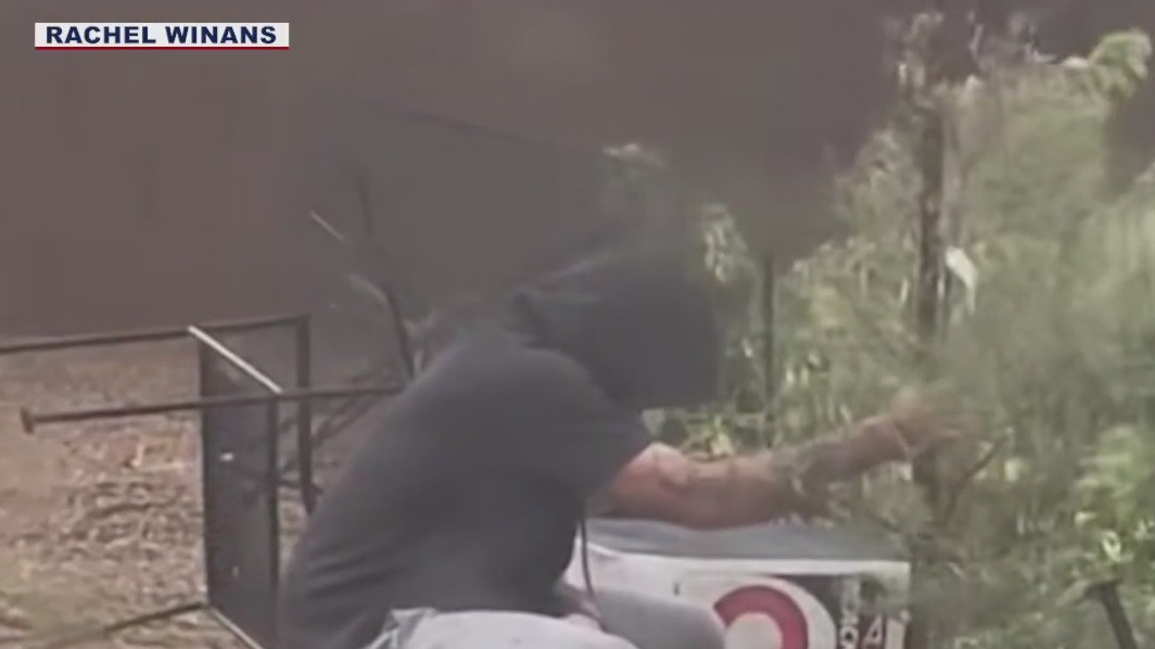 Man protects son's tree during monsoon storm